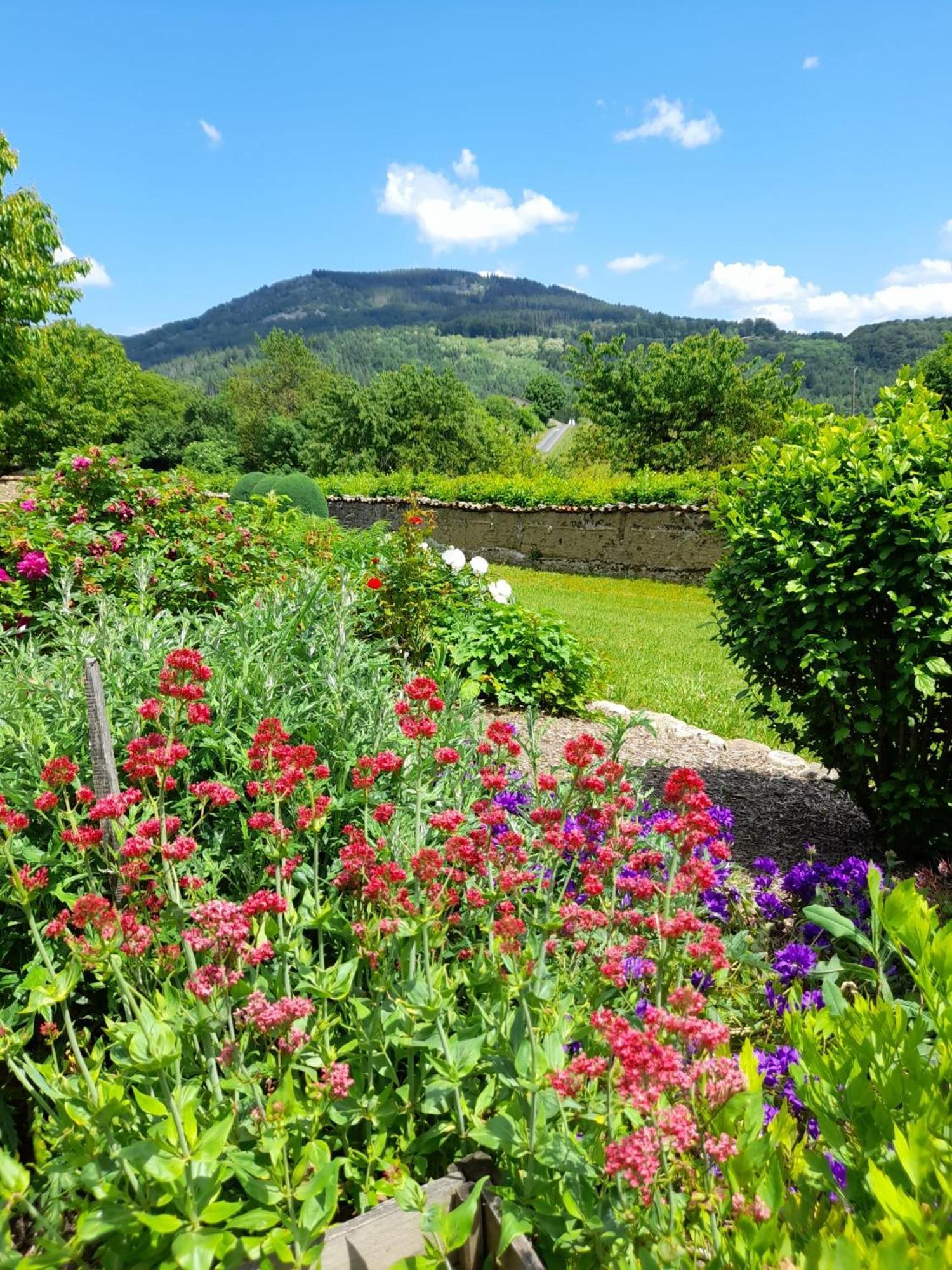 Le Jardin De Chignore Vollore-Ville Exterior photo